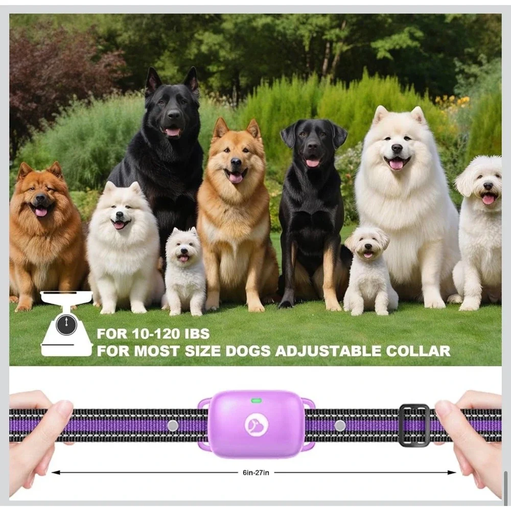 Unbranded Dog Training Collar Pet 6-27in Purple Waterproof 2600ft New
